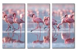 Obraz Flamingi na wodzie