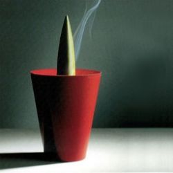 Popielniczka Joe Cactus - prezent pomys� na prezent prezenty na ka�dą okazj�